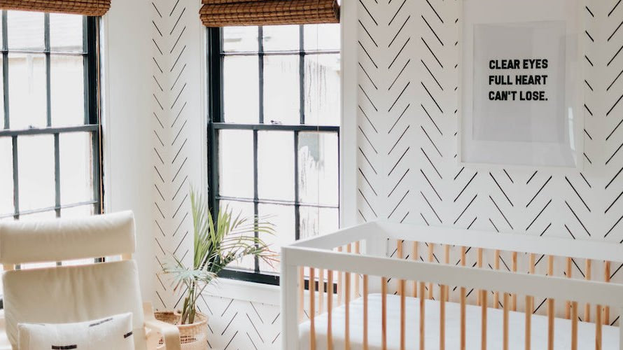 Baby Girl Nursery Decor Ideas - Liz and Roo
