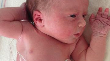 Heading Toward the Home Stretch: 12 Things to Do Before You Give Birth - Liz and Roo