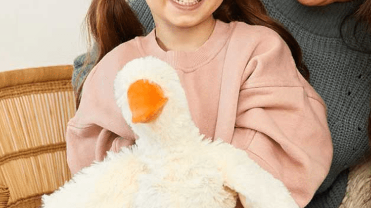 The Best Christmas Gifts for Babies and Toddlers: Sentimental Treasures They'll Cherish Forever - Liz and Roo