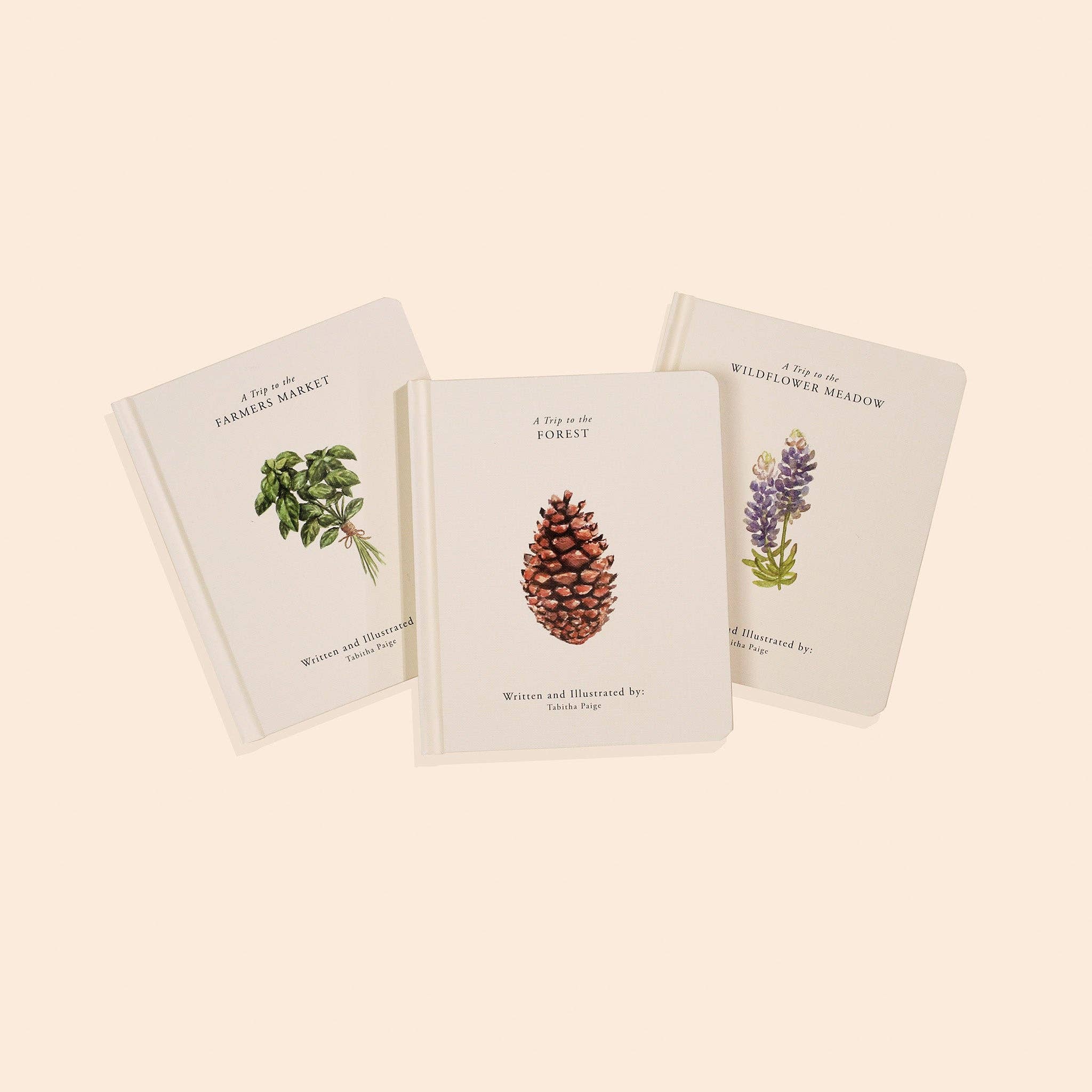Our Little Adventures Box Set for Kids - Liz and Roo