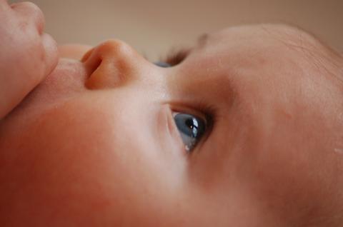 My Baby Won’t Sleep! Can Babies Inherit Insomnia? - Liz and Roo