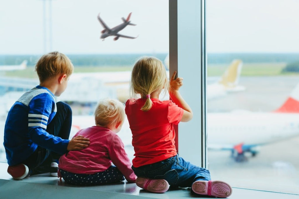 Tips For Traveling With Children - Liz and Roo