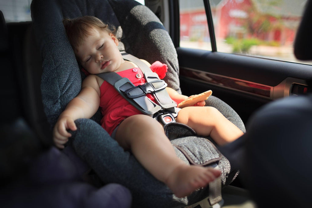 Your Guide to Summer Road Trips with Toddlers and Babies - Liz and Roo