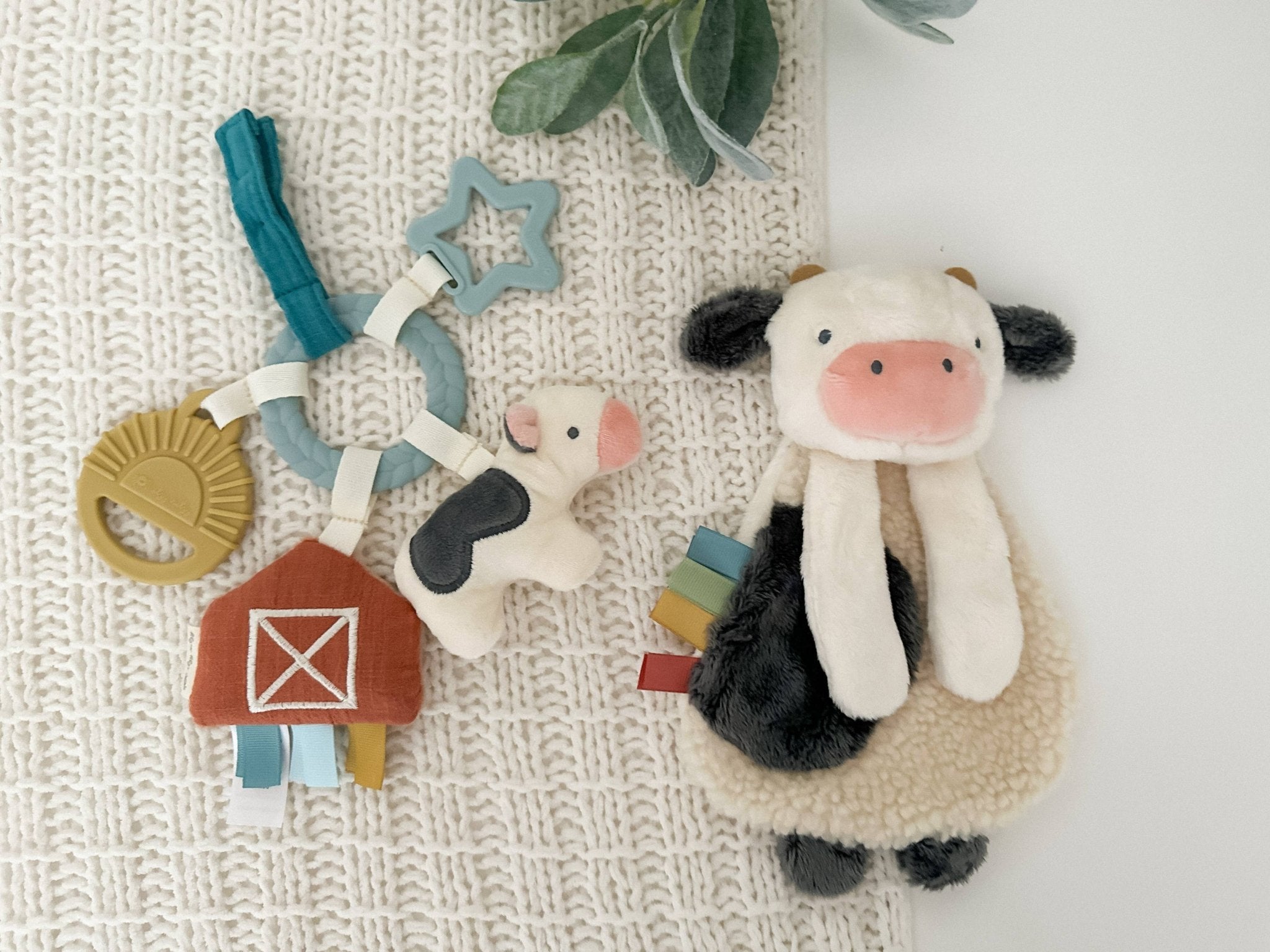 Bitzy Busy Gift Set™ - Liz and Roo