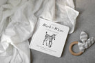 Black and White Contrast Book for Baby - Liz and Roo