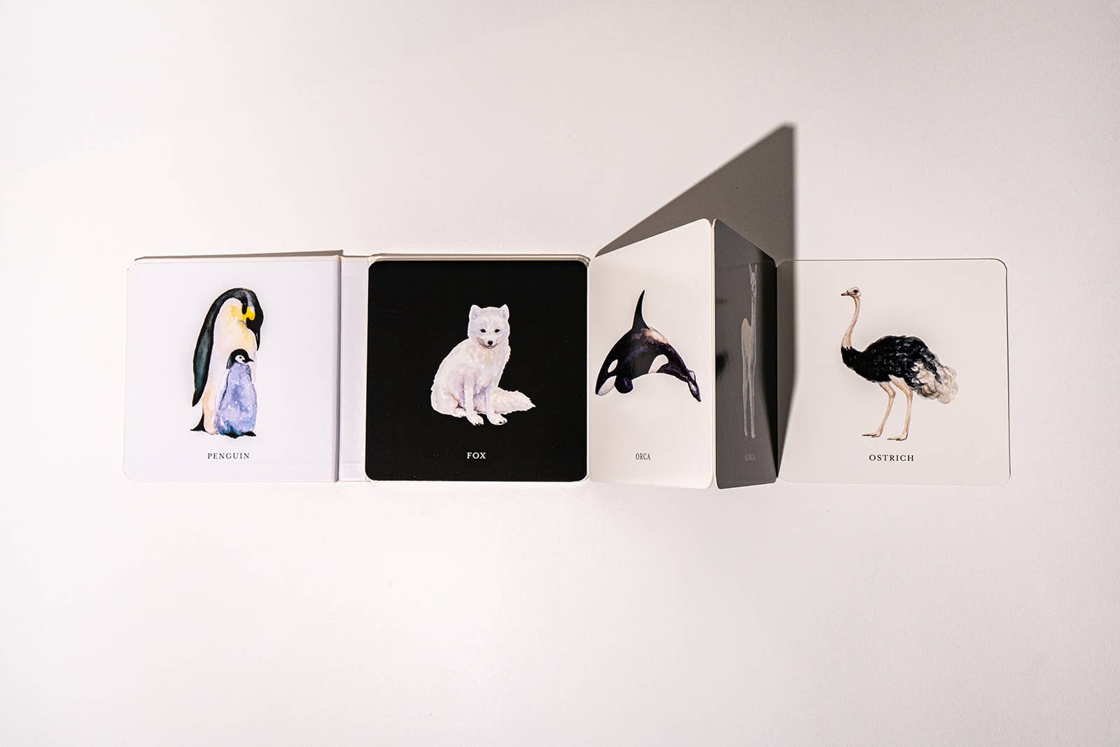Black and White Contrast Book for Baby - Liz and Roo