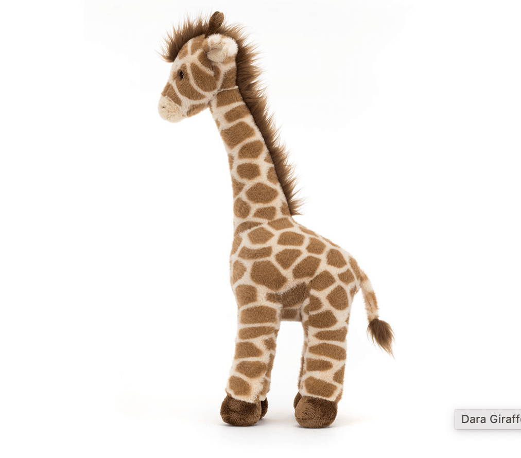 Jellycat Dara Giraffe - Liz and Roo