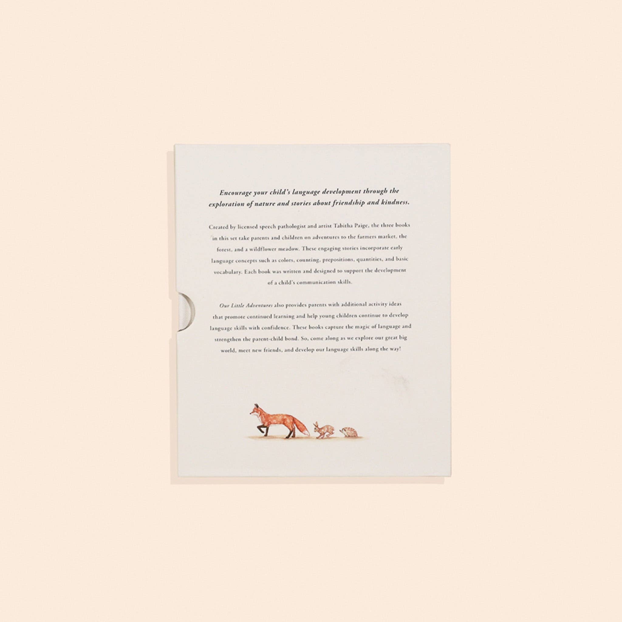 Our Little Adventures Box Set for Kids - Liz and Roo