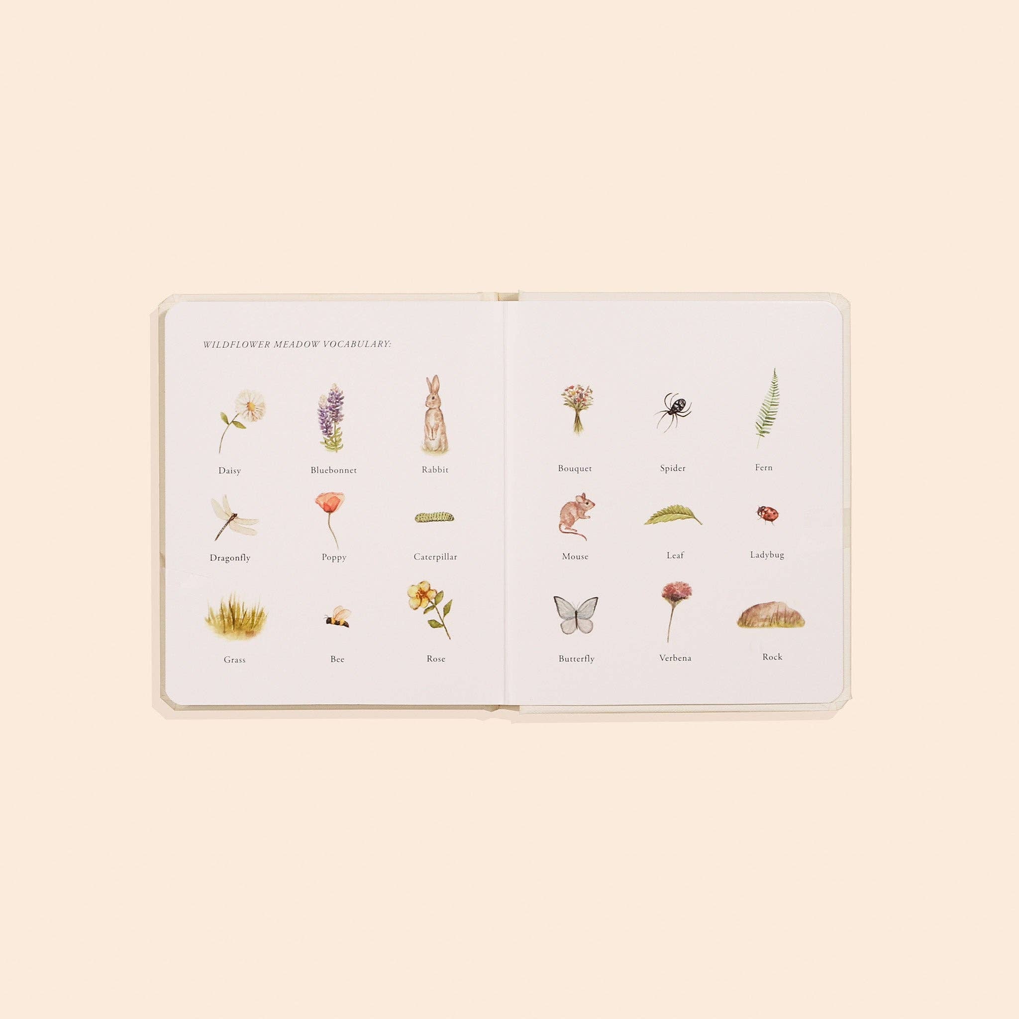 Our Little Adventures Box Set for Kids - Liz and Roo