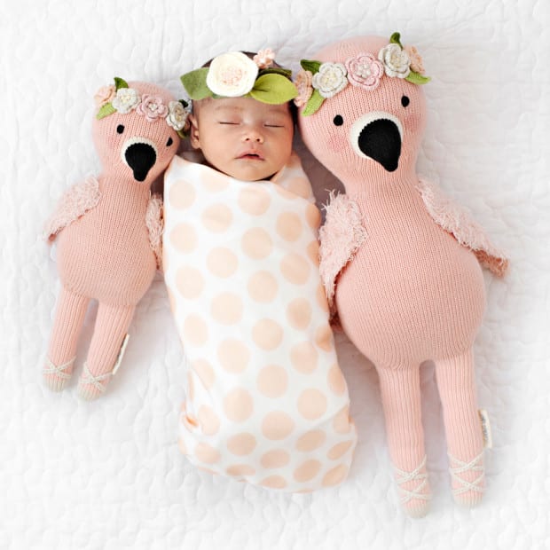 Penelope the Flamingo