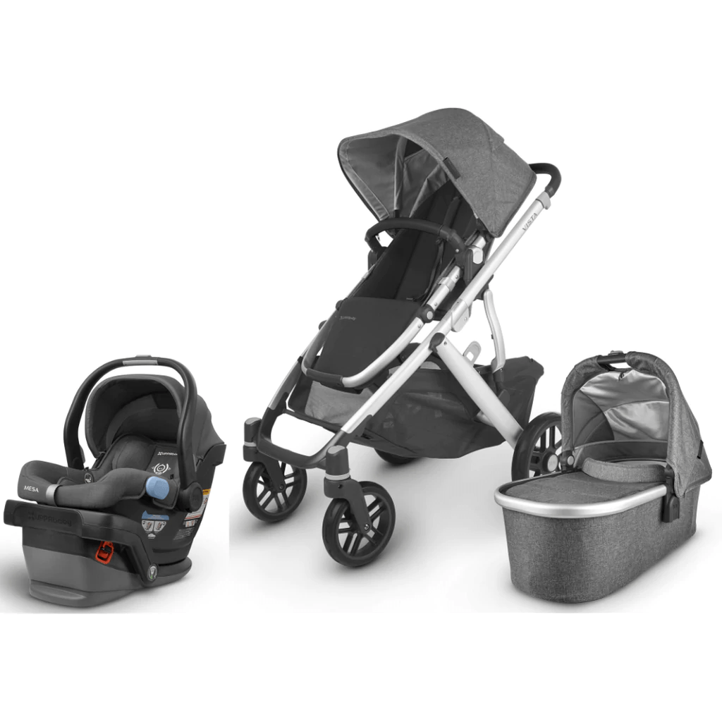 UPPAbaby Vista V2 and Mesa V2 Travel System Liz and Roo